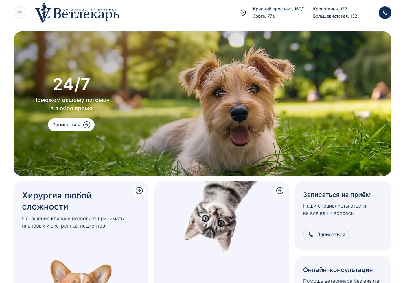 Hero-секция на главной странице сайта Ветлекарь