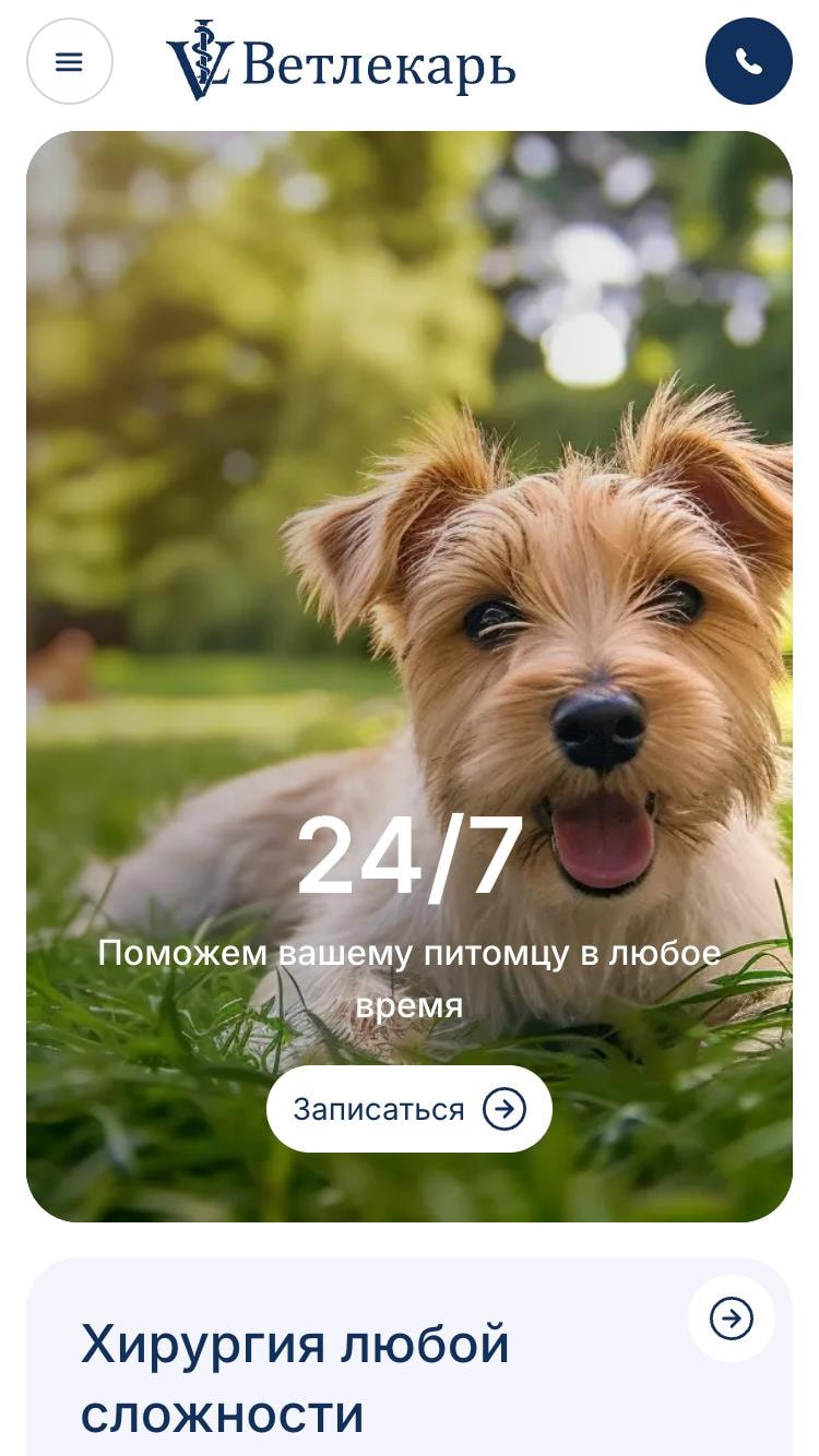 Hero-секция на главной странице сайта Ветлекарь