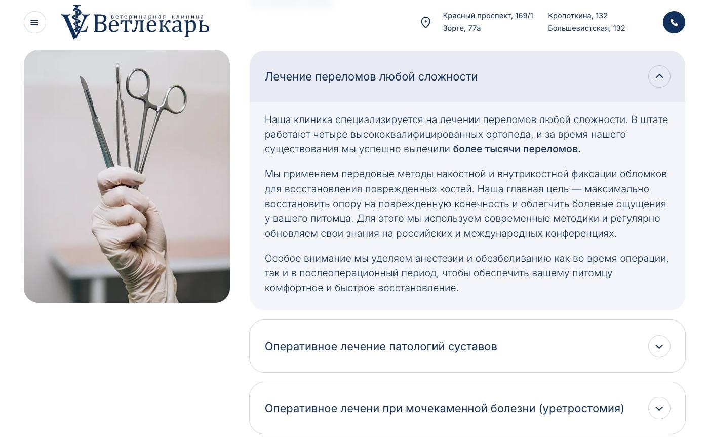 Страница услуги на сайте Ветлекарь